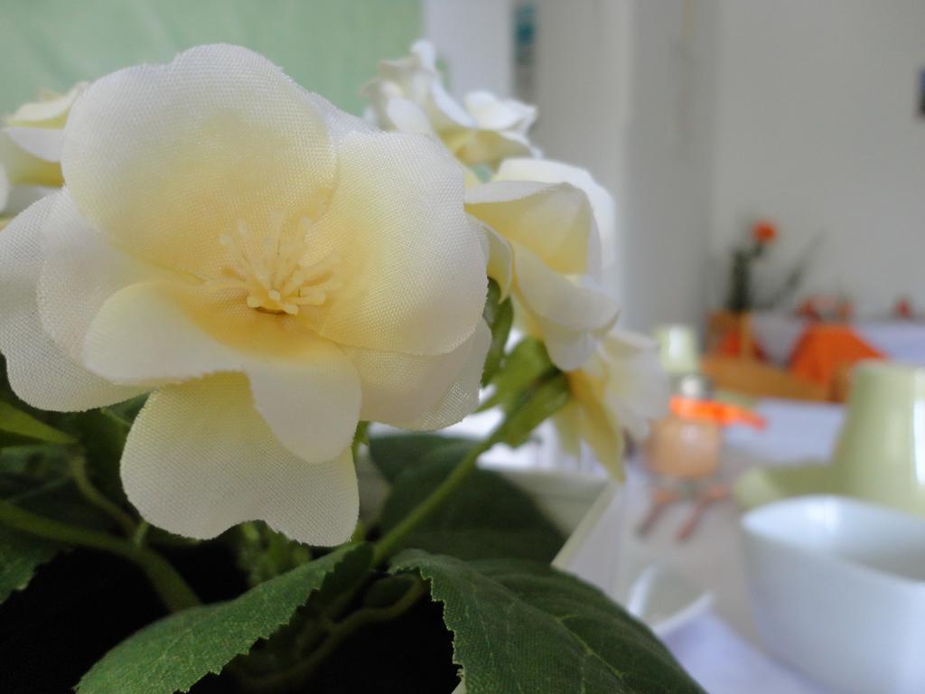 B&B Cristina Centola Dış mekan fotoğraf